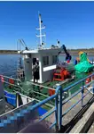 Barcos de trabalho à venda