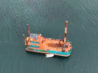 Barcos de trabalho à venda