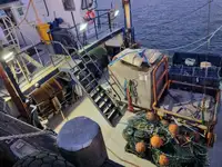 Ferro velho à venda