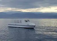 Embarcação a motor à venda