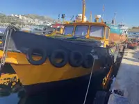 Barcos de trabalho à venda