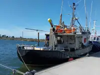 Navio com palangre à venda