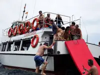 Suporte de mergulho à venda
