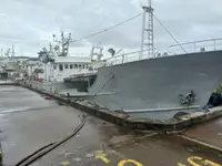 Navio com palangre à venda