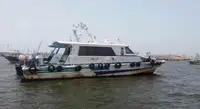 Barco piloto à venda