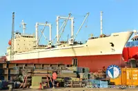 Navio Reefer à venda