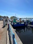 Barcos de trabalho à venda