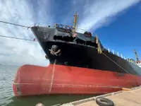 Graneleiro à venda