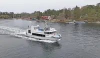 Embarcação a motor à venda