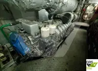 Embarcação a motor à venda