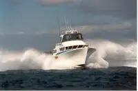 Barcos de trabalho à venda
