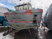 Barcos de trabalho à venda