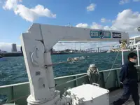 Navio de pesquisa à venda