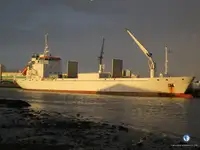 Navio Reefer à venda