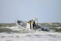 Draga à venda