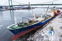 Navio Reefer à venda