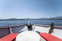 Embarcação a motor à venda