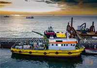 Barcos de trabalho à venda