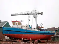Barcos de trabalho à venda