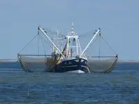 Traineira de pesca à venda