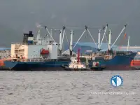 Navio Reefer à venda