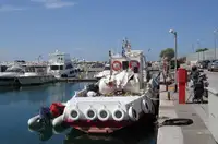 Barcos de trabalho à venda