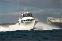 Barcos de trabalho à venda