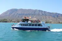 Embarcação a motor à venda