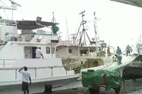 Navio com palangre à venda