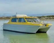 Embarcação a motor à venda