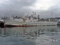 Navio com palangre à venda